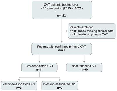 Imaging and clinical outcomes of COVID-19- vs. non-COVID-19-related cerebral venous thrombosis